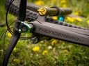 Rower Thunderbird CF Evo Płeć produkt uniseks