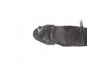 CEINTURE DE SÉCURITÉ DROIT AVANT AVANT BMW E60 E61 7068260photo 6