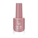 Перманентный лак для ногтей Golden Rose COLOR EXPERT NAIL 102