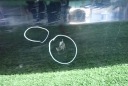 HONDA HR-V HRV II 2 15- КРЫШКА БАГАЖНИКА ЗАДНЯЯ ЗАД  фото 9