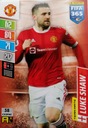 FIFA 365 2022 TEAM MATE 58 ШОУ МАНЧЕСТЕР Юнайтед