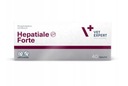 Гепатиале Форте 40 таб. для собак и кошек