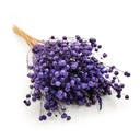 Сушеный лен - Королевский гранат