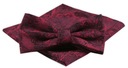 Мужской галстук-бабочка с нагрудным платком Alties - темно-красный