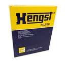 FILTRO CABINAS DB /HENGST/ CON WEGLEM AKTYWN 