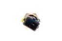 CAPTEUR TEMP LIQUIDE CHLODNICZEGO VEMO V20-72-0442photo 12