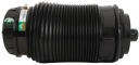 COUSSIN PNEUM SUSPENSIONS AUDI LT ARNOTTphoto 15