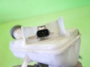 POMPE POMPE DE FREIN FORD TRANSIT MK6 2.0 TDDI 00-06photo 8