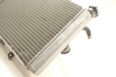YAMAHA GRIZZLY 700 RADIATEUR ORIGINAL USAphoto 8