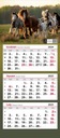 ТРОЙНОЙ настенный календарь лошади 2025