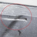 HYUNDAI KONA PLASTIQUE PROTECTION DROIT SEUIL 2018 87752-J9000photo 5