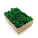 ФИНСКИЙ мох Хроботек 50г ПРЕМИУМ ОЧИЩЕННЫЙ