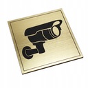 Пиктограмма на табличке НАБЛЮДАЕМЫЙ ОБЪЕКТ