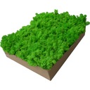 Мох Кузнечик Светло-Зеленый 1кг