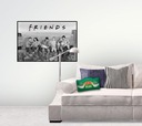 Vankúš - Friends Central Perk - 23 x 37 x 8 cm Druh gadgetu filmový