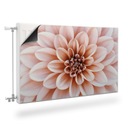 Osłona MAGNETYCZNA Kaloryfera Kwiat Dalii 80x60