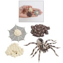 1 Nastavte fázy životného cyklu pavúka Vyučovanie v triede Materiál plast
