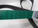 RENAULT OE 11 72 009 25R KIT COURROIE CUNÉIFORME POLYWEDGE 117200925Rphoto 10