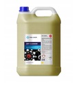  PREPARAT DO LIMPIADO DPF I EGR PRO-CHEM CLEANER 