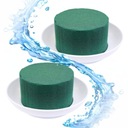 2x КРУГЛЫЕ ГУБКИ НА БЕЛОЙ ОСНОВЕ CIOTOL MINI