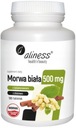 Aliness Berberín 400 mg + Moruša biela 500 mg Chudnutie Metabolizmus Chuť do jedla Kód výrobcu Berberyna Berberine Glukoza Cukier Waga