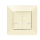 Разъем Legrand NETATMO 752287 Valena Life