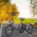 Триколісні Велосипеди Fafrees 500W 48V