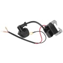 REMPLACEMENT BOBINES D'ALLUMAGE HAUTE TENSION MOTEUR ROBIN NB411 POUR 47CC 49CCphoto 11