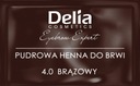 DELIA Хна для бровей - порошок DELIA COSMETICS 4г, 4,0 КОРИЧНЕВЫЙ