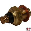 VW Golf MK1 Датчик температуры