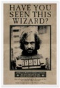 Harry Potter Syriusz Black Wanted plakat 61x91,5cm Kod producenta PP33681