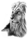 Татуировка льва Наклейка с головой льва Король Лев TM65