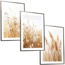 30x40 Набор фотографий в рамке PAMPAS PAMPAS Луговая трава Природа BOHO