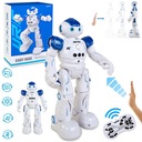 ИНТЕЛЛЕКТУАЛЬНЫЙ РУ РОБОТ С ДИСТАНЦИОННЫМ УПРАВЛЕНИЕМ ЖЕСТАМИ С ПОМОЩЬЮ ДИСТАНЦИОННОГО ПРОГРАММИРОВАНИЯ ПАТРУЛЯ