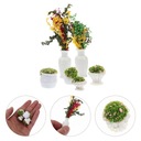Mikro Krajina Rastliny Dekoratívne vázy Kód výrobcu OL5D467