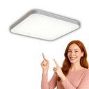 Потолочная лампа ADIS LED 28W 4200K IP44 Ideus struhm