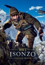 STEAM KEY ISONZO PL ПК