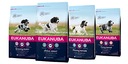 Karma Eukanuba Active Adult Medium Breed 15kg Wielkość psa rasy średnie (10-25 kg)