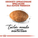 Royal Canin Persian Adult karma sucha dla kotów dorosłych rasy perskiej ...