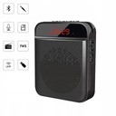 Усилитель голоса для гидов с микрофоном