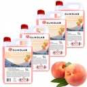 ЗИМНЯЯ ОМЫВАЮЩАЯ ЖИДКОСТЬ -22C INTENSIVE PEACH PREMIUM (4X5L)