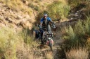 MB ЗАЩИТА РАДИАТОРА WUNDERLICH DO DUCATI DESERTX  фото 5