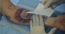 Ochranná fólia na tetovanie Dermalize Pro 10 m Značka Dermalize