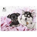 CLEO & FRANK CAT DOG ПОКРЫТАЯ ПОДЛОЖКА + ПЛАН ИГРЫ