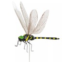 КУЛОН СТРЕКОЗА УКРАШЕНИЕ ДЛЯ ЦВЕТОВ, украшения вазонов, украшение насекомыми