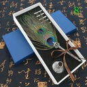 Европейские ретро-студенты используют перьевую ручку с павлиньими перьями, набор чернильных ручек