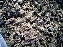TEA Planet - Herbata Oolong Tie Guan Yin - 100 g. Kod producenta SC11435052404274