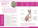 Чистокровные собаки Атлас-путеводитель по собакам Выбор, уход, породы