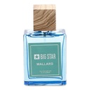 Dámska Parfumovaná voda Big Star Parfém Pre ňu Značka Big Star
