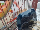 КАПОТ КРИШКА ДВИГУНА BMW 1 F20 08.11-06.19R КОЛІР B38 MIDNIGHT BLUE  (18877274608) фото min 10